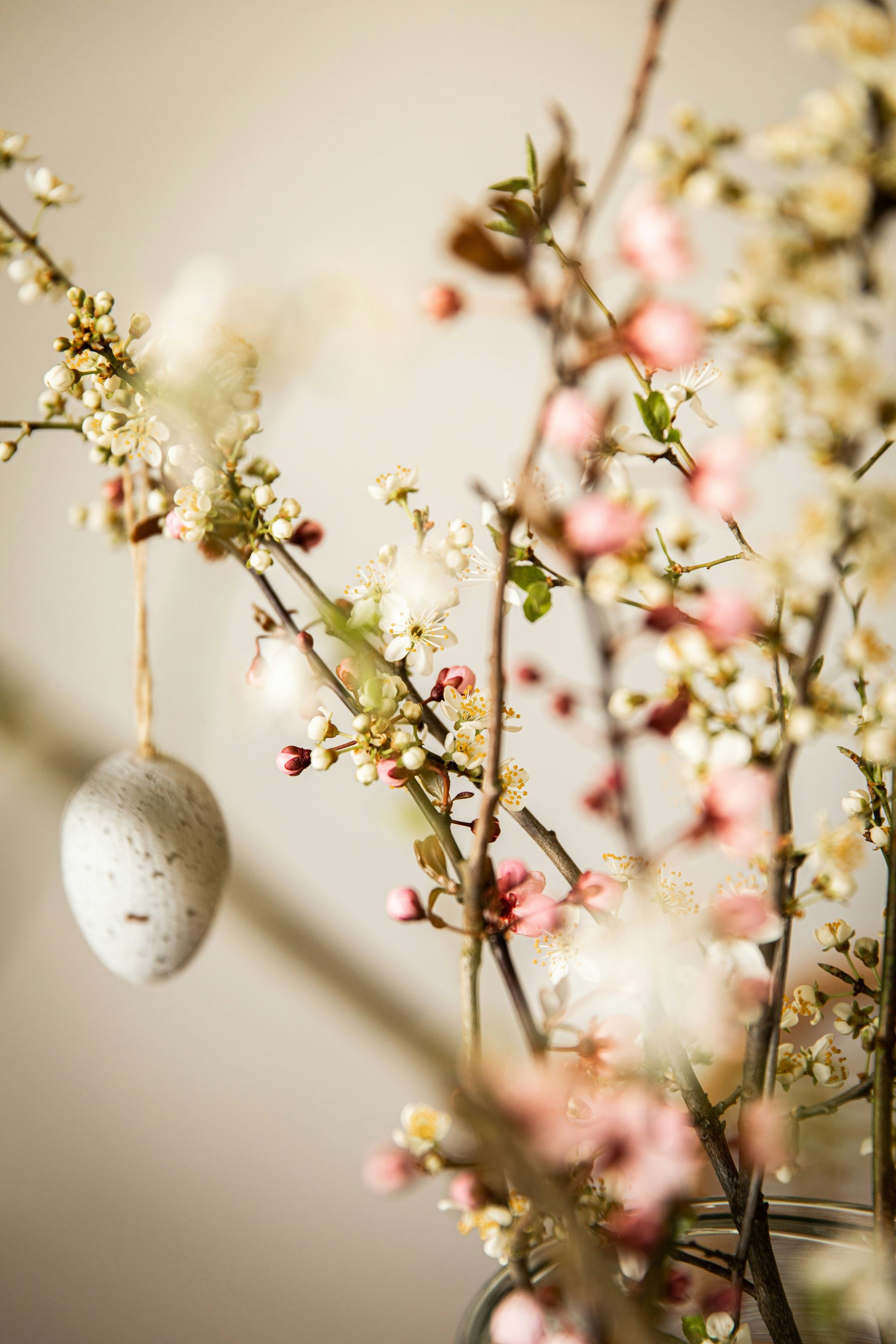Easter egg decorations hanging from Spring flowering branches